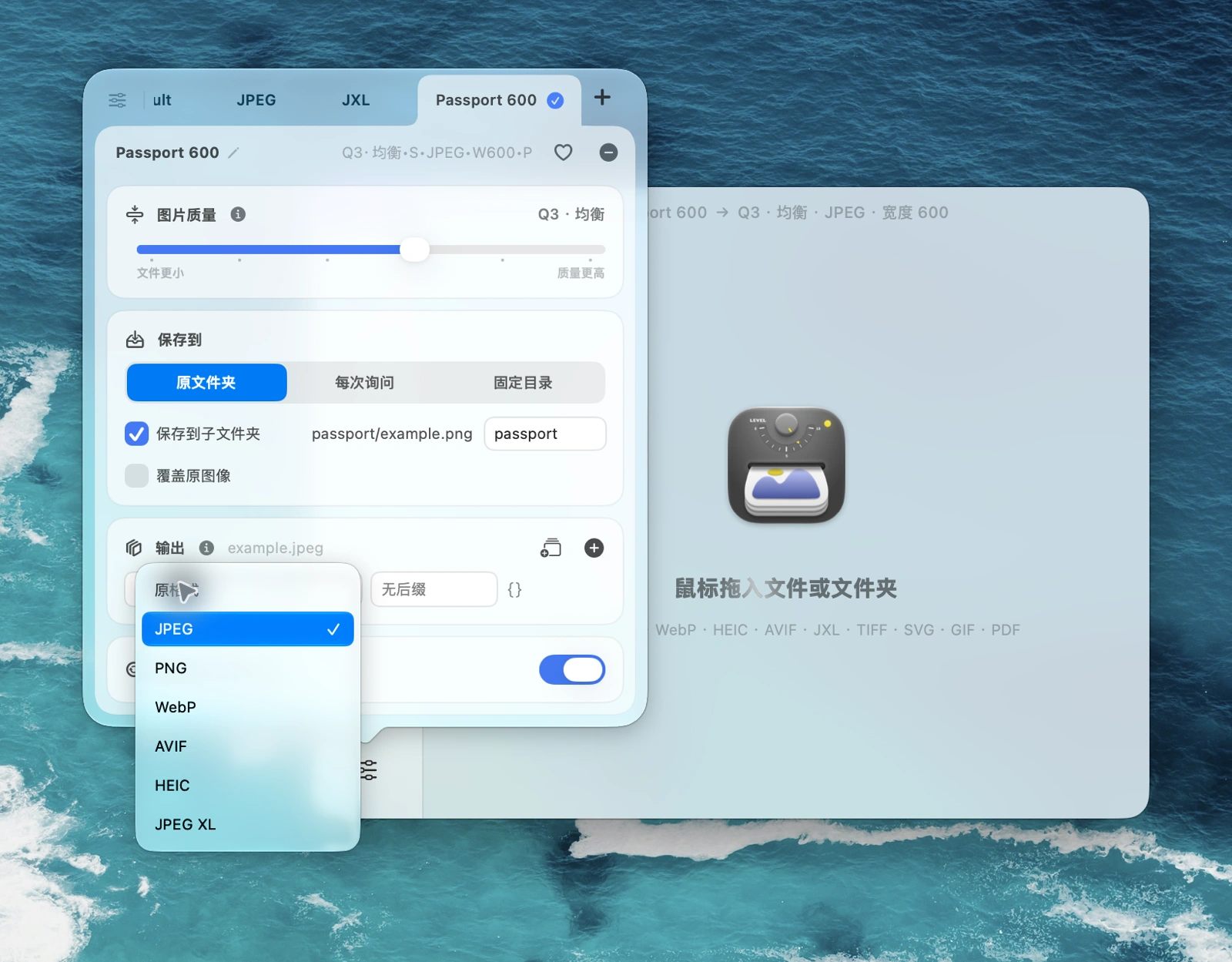 macOS 版 Zipic 的输出格式菜单，JPEG 已选中