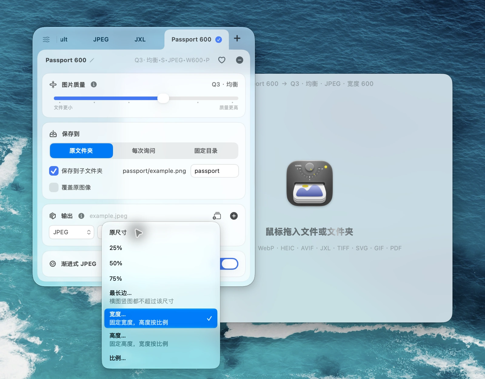 macOS 版 Zipic 的输出尺寸菜单，选择宽度并设置为 600 像素