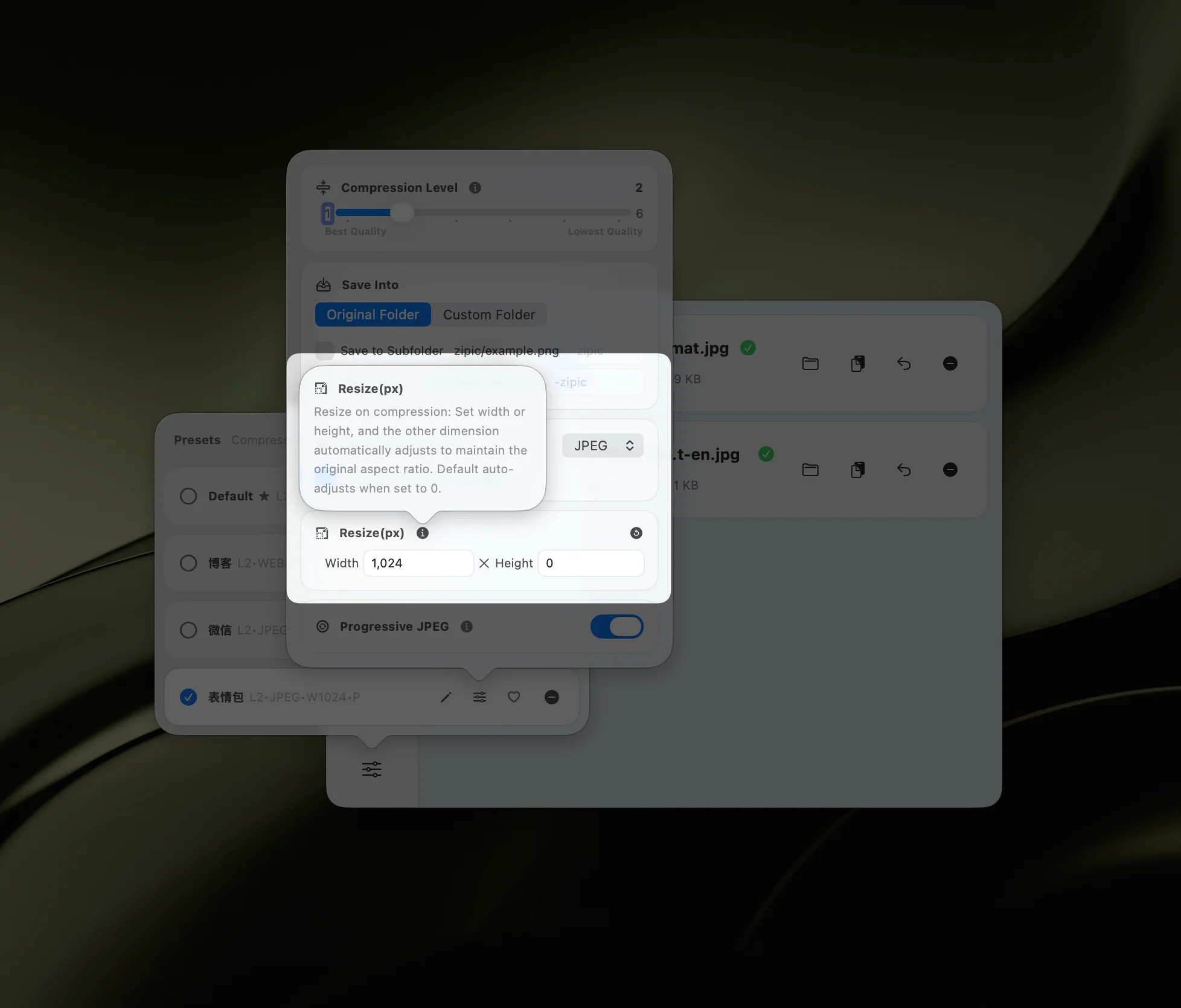 Zipic resize options — set target width for responsive web images