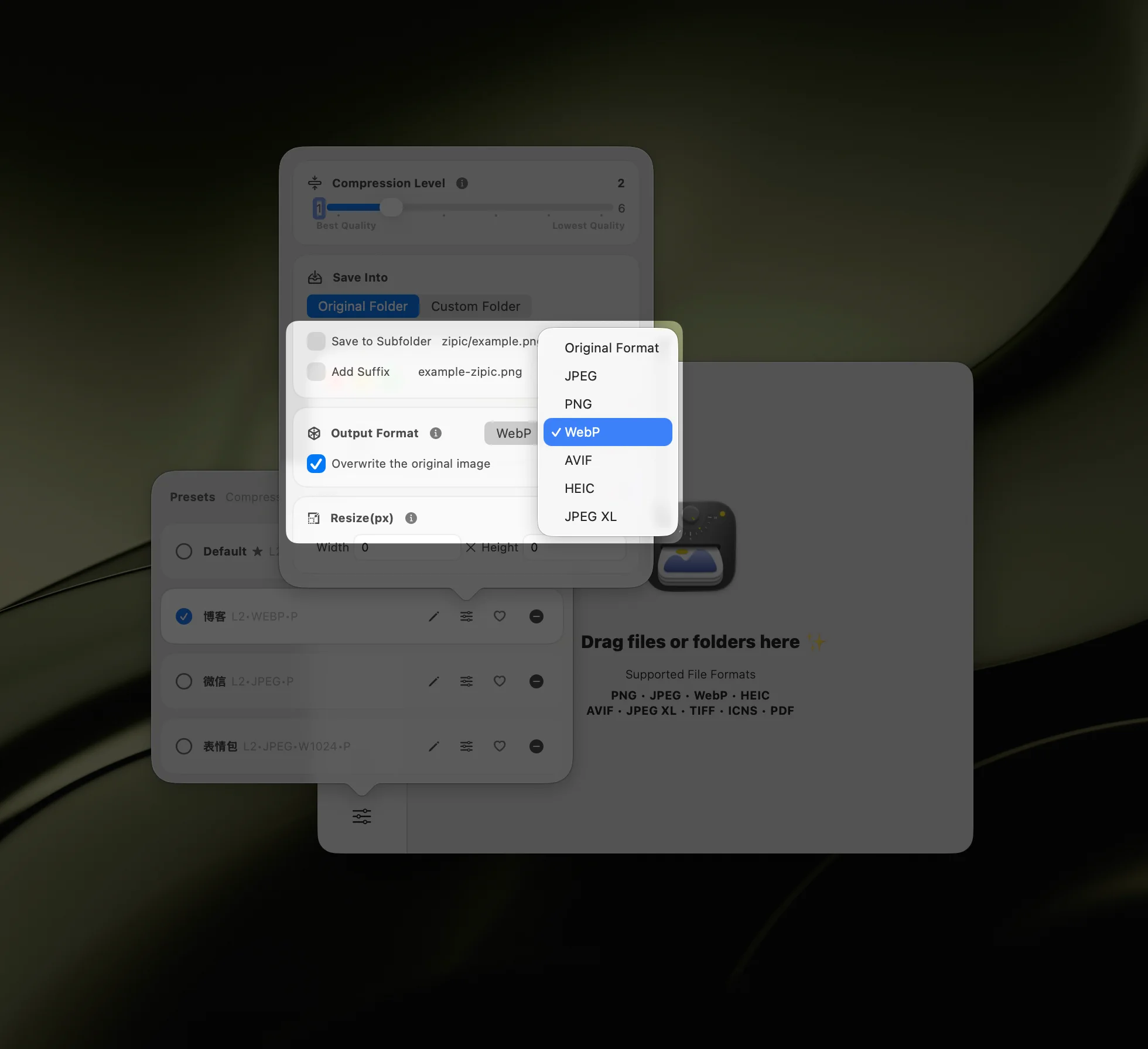 Zipic format options — WebP, AVIF, JPEG, PNG for different web use cases
