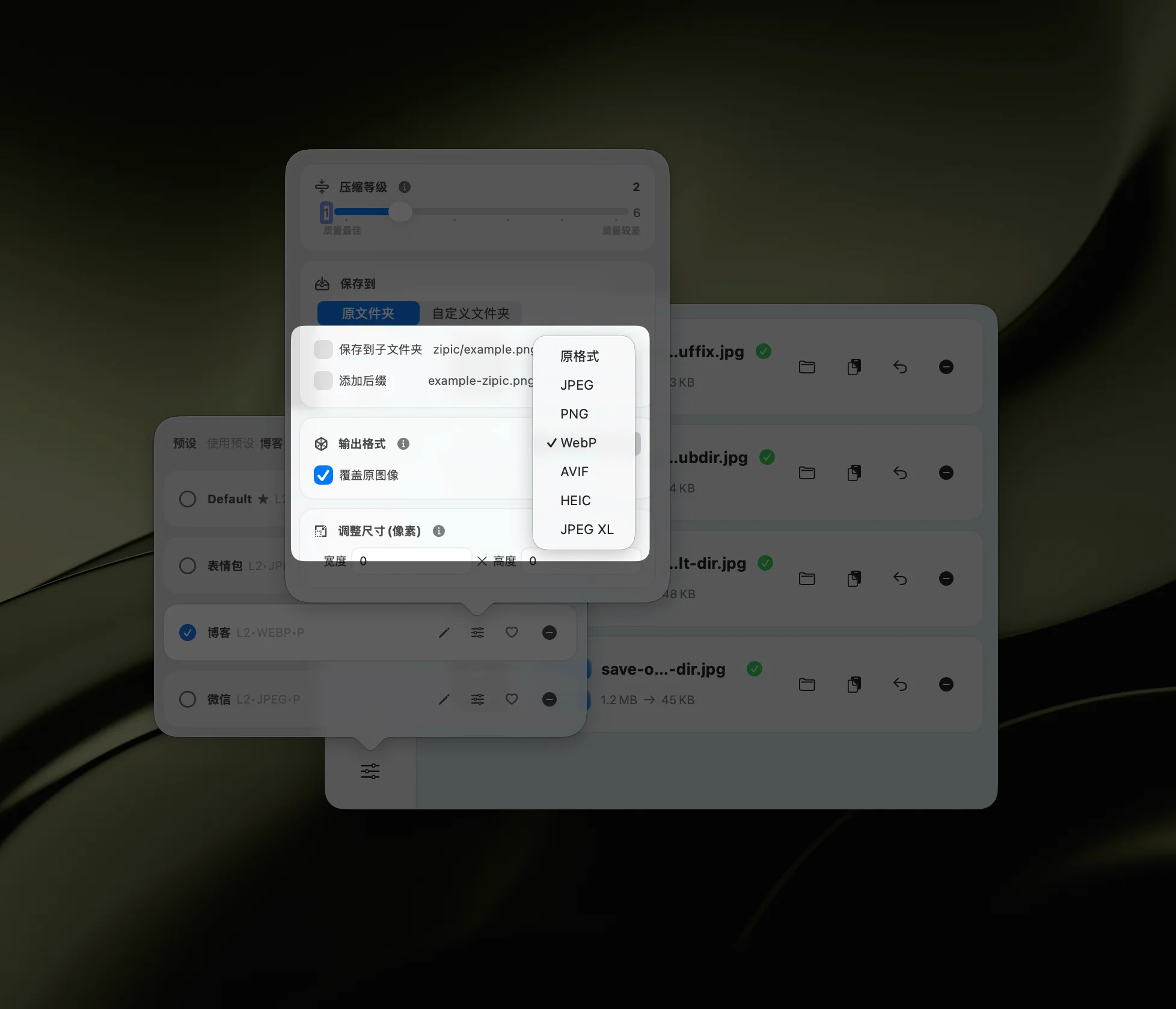 Zipic 格式转换 — 输出格式选择包括 WebP、AVIF、HEIC、JPEG-XL